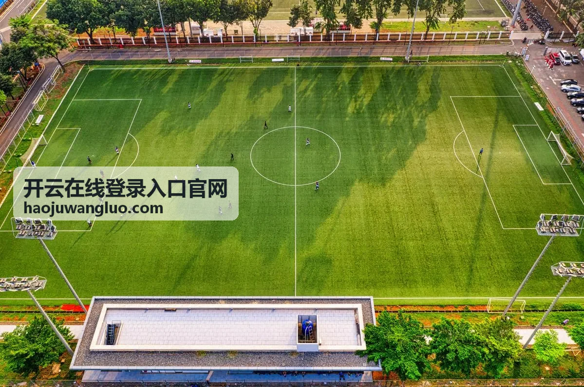 开云在线登录入口官网登录通道与账号服务示意